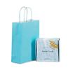 Light Blue Premium Italian  Paper Carrier Bags with Twisted Handles