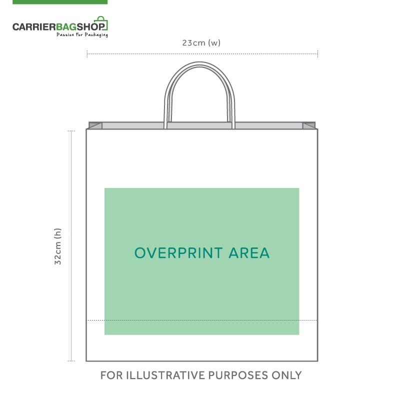 Light Blue Printed Paper Carrier Bags with Twisted Handles